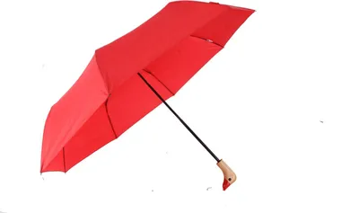 Image de Parapluie de poche télescopique avec housse de protection 98 cm 190T toile Pongee imperméable rouge