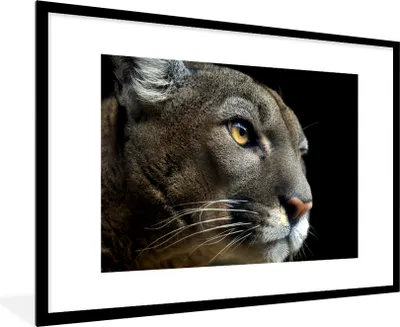 Produktbild von MuchoWow® Gerahmtes Poster Puma - Wilde Tiere - Porträt 90x60 cm - Poster mit Schwarzem Bilderrahmen Wandposter Rahmen Foto Bilder - Wanddekoration - Fotos