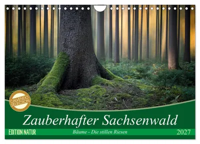 Produktbild von Zauberhafter Sachsenwald (Wandkalender 2027 DIN A4 quer), CALVENDO Monatskalender