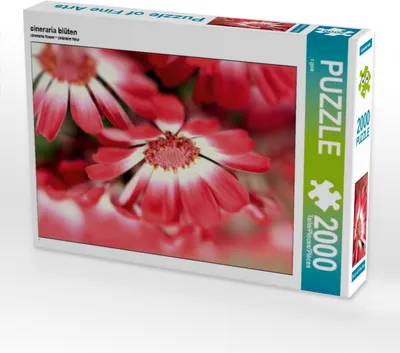 Produktbild von CALVENDO Puzzle cineraria blüten | 2000 Teile Lege-Größe 90x67cm Foto-Puzzle für glückliche Stunden