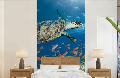 Produktbild von MuchoWow® Fototapete für Wohnzimmer oder Schlafzimmer Wandtapete Vinyl Motivtapete Korallenriff mit Schildkröte - 120x240 cm - Hintergrundbild