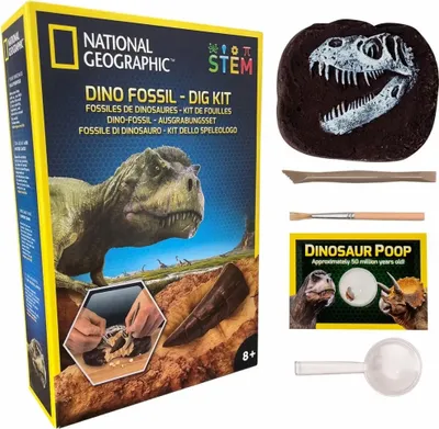Produktbild von Ausgrabungsset Dino, enthält: Ausgrabungswerkzeug,