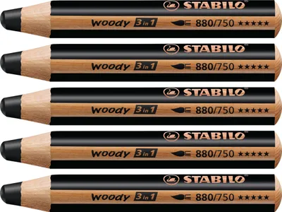 Produktbild von Buntstift, Wasserfarbe & Wachsmalkreide - STABILO woody 3 in 1 - 5er Pack - schwarz