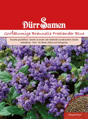 Produktbild von Dürr-Samen - Prunella Braunelle blau gefärbte Blüten mehrjährig 15 cm - Saatgut - 1083