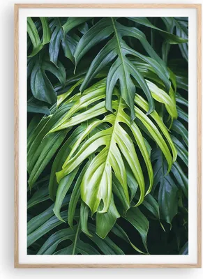 Produktbild von Gerahmtes Poster - Rahmen in heller Eiche - Blume Natur - 70x100 cm - Wand Bild - Wanddeko - Wandbilder - Kunstposter - Wandposter - Bilderrahmen - Bilder - Kunstdruck - Wandbild - P2NPA70x100-3951
