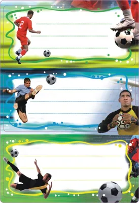Produktbild von Buchetiketten 76x36mm Vario Fußball beglimmert VE=10x2 Blatt