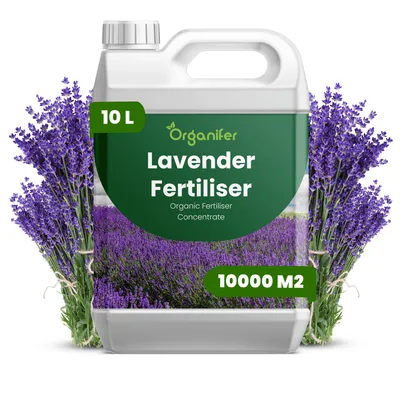 Zdjęcie produktu dla Levandula Nawóz Płynny 10 L – 2-1-8 NPK – Do Duże Rabaty, Doniczki Dlhotrvajúce Letné Kwiaty – Podporuje Stabilny Wzrost – Organifer