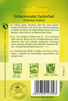 Produktbild von Quedlinburger Saatgut - Zichoriensalat Zuckerhut - Samen - 472702