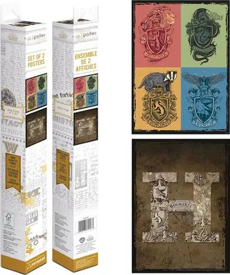 Obrázek produktu pro Sada plakátů v krabičce Harry Potter (Heraldika a Bradavice)