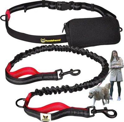 Produktbild von Famanu Hundeleine Handfrei Joggen - Elastisch, Reflektierend und Verstellbar 120-170 cm