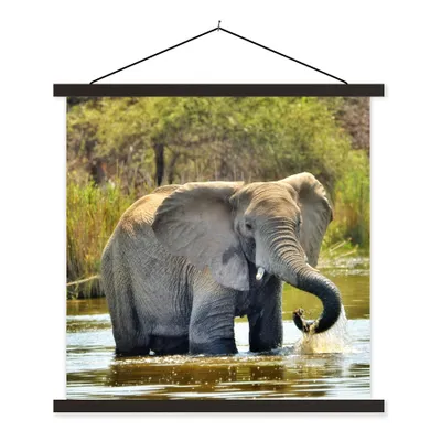 Produktbild von MuchoWow® Textilposter Elefant - Wasser - Tiere - Natur 120x120 cm mit schwarzem Rahmen - Aufhängungsset