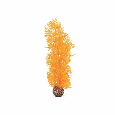 Obrázek produktu pro biOrb Sea fan M orange
