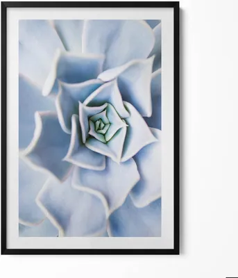 Produktbild von Eine Blume pflanzen– Wandbild mit Rahmen – Gerahmtes Bild  – Wanddekoration – 70x100 cm –  Schwarz Rahmen