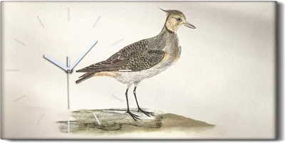 Produktbild von Leinwand Uhr Küche Wohnzimmer Bild Geräuschlos 60x30 Malerei Tier Vogel Kunst - weiße Hände