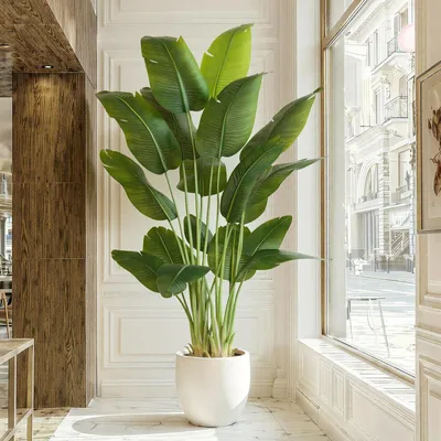 Obrázok produktu pre Umelá rastlina "Paradička" s výškou 230 cm, vrátane kvetináča
