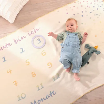 Produktbild von Biederlack Kuscheldecke Babydecke Lovely & Sweet Milestone 100 x 150 cm