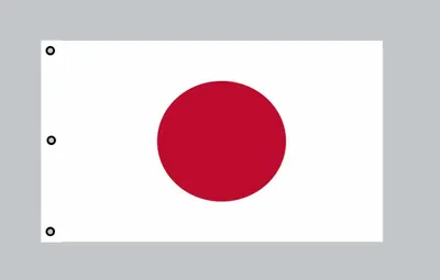 Produktbild von Riesen-Flagge: Japan 150cm x 250cm