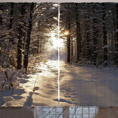 Immagine prodotto di Tenda invernale ARANDE, stagione natalizia con neve e bosco ghiacciato Raggi di sole Paesaggio boschivo molto freddo, 280 x 245 cm, giallo chiaro marrone