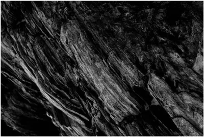 Image de Autocollant de fond pour aquarium, adhésif, 60 x 29 cm, en PVC, pour l'aménagement paysager d'aquarium