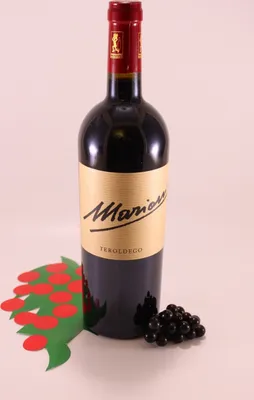 Produktbild von Teroldego - 2020 - Weingut Marion