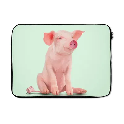 Produktbild von MuchoWow® Laptop Hülle 14 ZollSchwein - Rosa - Sockel - Tiere Laptoptasche - Laptoptasche - Stoßsicher - Schutzhaube