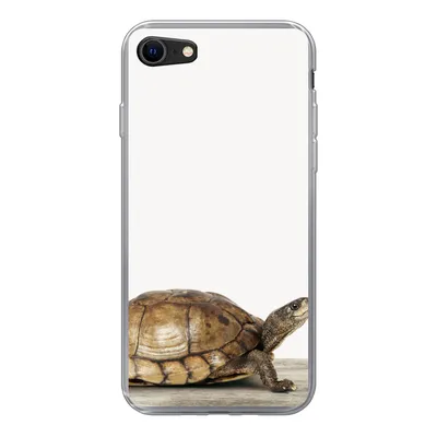 Produktbild von MuchoWow® Handyhülle Schutzhülle Hülle für iPhone SE 2020 Schildkröte - Junge - Tiere - Kinder - Mädchen Silikon Softcase Handy Hülle - Kartenbesitzer