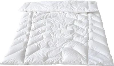 Produktbild von Traumina Exclusive Body Daune Ganzjahresdecke / leichte Winterdecke 155x220 cm