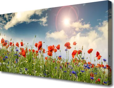 Produktbild von Tulup Leinwand-Bilder 100x50 Wandbild Canvas Kunstdruck Wiese Blumen Natur