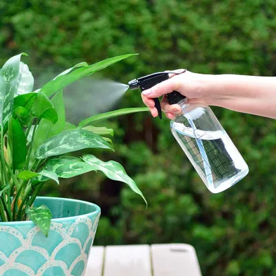 Produktbild von Glas Sprühflaschen 500 ml - 4 Stück für Haar- und Reinigungslösungen - transparent