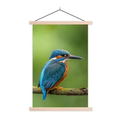 Produktbild von MuchoWow® Textilposter Eisvogel - Zweig - Moos - Vogel - Grün 120x180 cm mit holzfarbenen Rahmen - Textil-Plakat