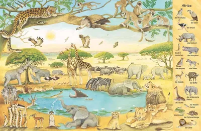 Obrázok produktu pre Das 1000 Tiere-Wimmelbuch