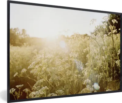 Produktbild von MuchoWow® Gerahmtes Poster Blumen - Weiß - Frühling 30x20 cm - Poster mit Schwarzem Bilderrahmen Wandposter Rahmen Foto Bilder - Kunstdruck - Bild-Poster