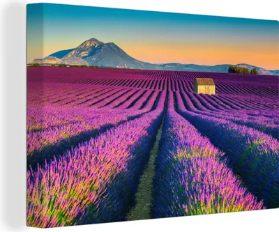 Obrázek produktu pro OneMillionCanvasses® Malba na plátně Nástěnná malba na plátně - Levandule - Hory - Květiny - 150x100cm