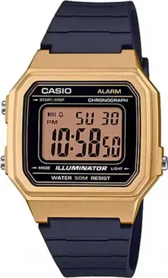 Produktbild von Casio Uhr Collection W-217HM-9AVDF