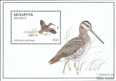 Produktbild von Briefmarken Weißrussland 1996 Mi Block13 (kompl.Ausg.) postfrisch Vögel