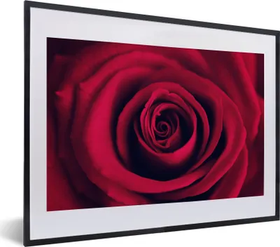 Produktbild von MuchoWow® MuchoWow® Gerahmtes Poster Rosen - Rot - Blumen 40x30 cm - Poster mit zchwarzem Bilderrahmen - Bilderrahmen - Poster im Rahmen