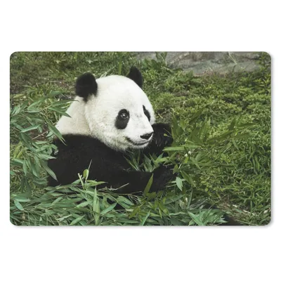 Produktbild von MuchoWow® Schreibtischunterlage Panda - Bambus - Pflanze 60x40 cm - XXL Mauspad - Großes Mauspad