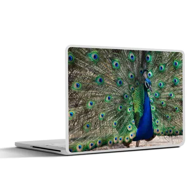 Produktbild von MuchoWow® Laptop Aufkleber Sticker Cover Pfauenfedern - Blau - Vogel 25x18 cm - Laptop-Deko