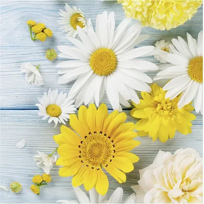 Produktbild von Jet Papier Gänseblümchen/33cm Sonstige Sonstige