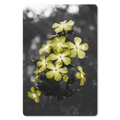 Produktbild von MuchoWow® Mauspad Mousepad Blumen - Gelb - Farben 40x60 cm - Mousepads - Maus Mat - Pad - Mausunterlage - Schreibtisch Accesoire