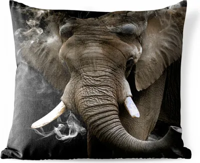 Produktbild von MuchoWow® Outdoor Kissen - Elefant - Rauchen - Zähne - 45x45 cm - Wetterfest - Lounge Kissen - Fotokissen - Dekoratives Kissen