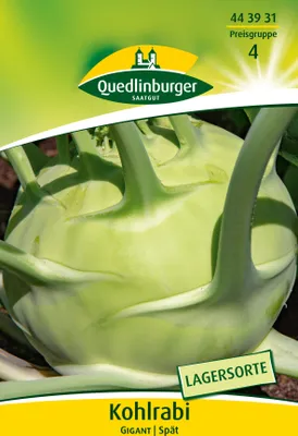 Produktbild von Kohlrabi Gigant | Kohlrabisamen von Quedlinburger