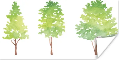 Produktbild von MuchoWow® Poster Aquarell - Baum 80x40 cm - Wanddeko