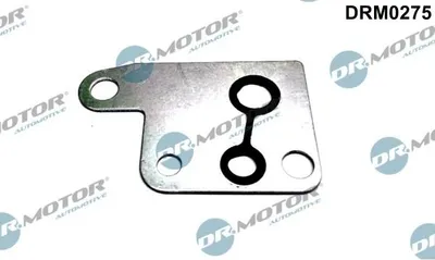 Obrázek produktu pro Těsnění Vývěvy Ford Transit 2.4Tdci 00-
