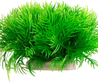 Zdjęcie produktu dla Kruger Meier Plant Slim Green - roślinka sztuczna