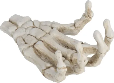Zdjęcie produktu dla Halloween Skeleton Hands Wysoka twardość Odporność na korozję Lekkie ozdoby z kości dłoni do wspornika narzędzi dydaktycznych