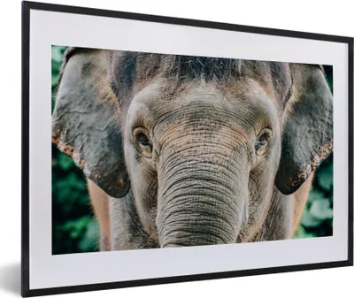 Produktbild von MuchoWow® MuchoWow® Gerahmtes Poster Nahaufnahme eines Elefanten 60x40 cm - Poster mit zchwarzem Bilderrahmen - Schlafzimmer - Plakat in Rahmen - Drucken