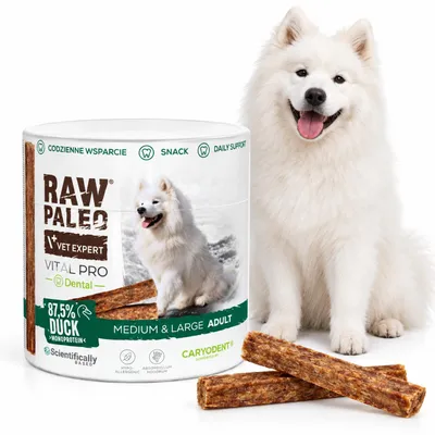 Obrázek produktu pro Pamlsek pro psy VetExpert Raw Paleo Vital pro zuby a dásně, kachna, 100g, Obrázek vytvořený pomocí AI