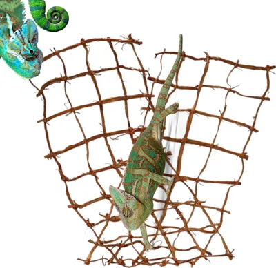 Image de BioCoco Net Kokosnetz 70x35cm