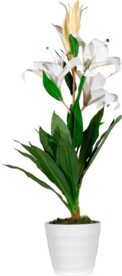 Zdjęcie produktu dla Sztuczna roślina Paperflow PALYS65 Kwiat lilii 65cm
